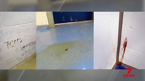 128K views · 825 reactions | A damning report about Queensland's youth detention centres has exposed shocking conditions in isolation rooms for children. The prison watchdog condemned "inhumane" practices in some rooms where there are no toilets and water. | 7NEWS Brisbane | Facebook