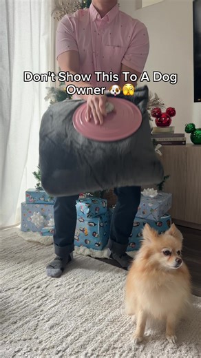 They're so warm, soft, and cozy! My dog loves it 🥰