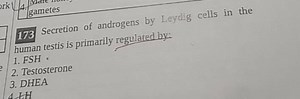 173 Secretion of androgens by Leydig cells in the human testis ... | Filo