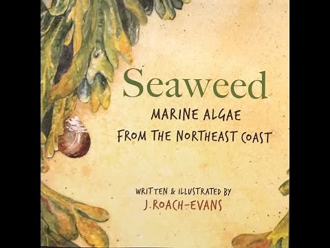 Seaweed | Ocean | Seashore | Algae | Science | Read Aloud | Story