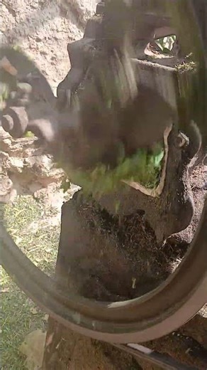 Toka Machine Fodder Cutting 🌿 | Grass Cutting Technique for Animal Feed