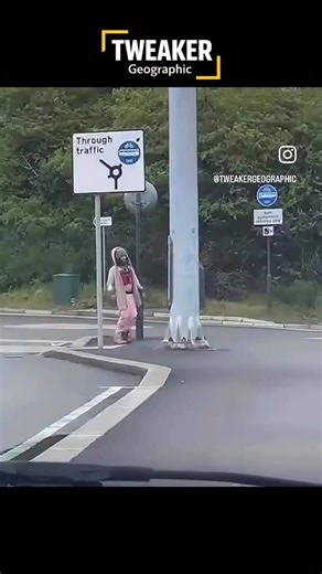 Tweaker Geographic Episode 7: Captain Crack Sparrow #tweaker #tweakers #viral #funny #fyp