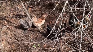 1K views · 25 reactions | What does one do with an old retired train caboose? For one couple in Jones, they put it back into service as a rather unique Airbnb. Join reporter Deanne Stein and videographer Brian Boone as they show you how the inside has been completely transformed into a cozy space, complete with a queen bed, television and an assortment of train themed movies too! Oklahoma Tourism #eatstayplay #discoveroklahoma #explore #adventure | Discover Oklahoma | Facebook