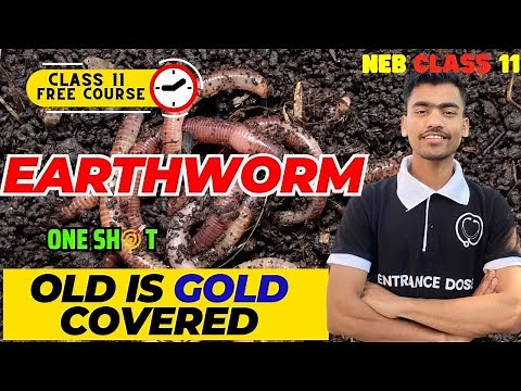 Earthworm Complete For Class 11 | ONE SHOT Video🔥 | MCQ, Short,Long Covered🔥All OLD is GOLD Covered✅