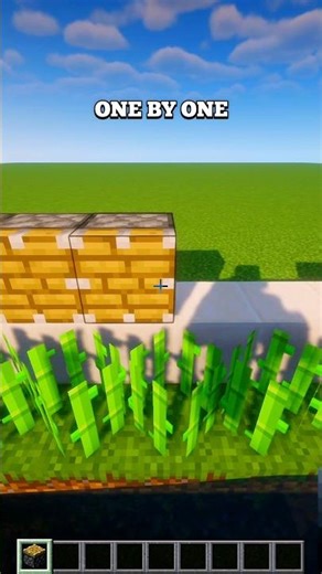 EASIEST FARM YOU CAN BUILT ⛏️ RIGHT NOW IN MINECRAFT | SUGARCANE FARM | #shorts #gaming #minecraft