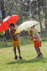 How to Adjust a Rainbird 42Sa