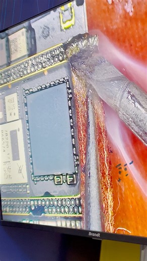 1.7M views · 5.4K reactions | العودة ❤️إنطلاق أول دورة بعد شهر رمضان...