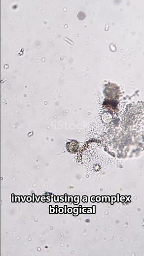 Activated Sludge Process Explained: Wastewater Treatment #WastewaterTreatment #ActivatedSludge