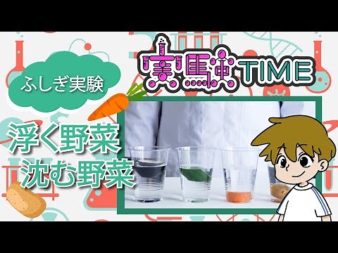 [Summer vacation independent study ideas] Floating vegetables? Sinking vegetables? Easy and myste...
