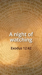 75 reactions · 20 shares | One night changed everything. From slavery...