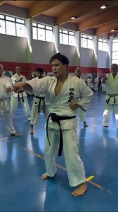 Choku Zuki/Punching utilising the connection between the tanden/centre, lower body and upper body Repost @katsutirujr | Karate Techniques