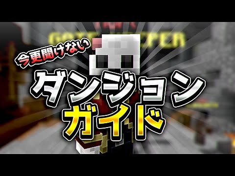【マイクラ】超初心者向け！ダンジョンガイド！！【スカイブロック】