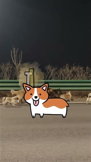 “Caught on Camera: 7 Dogs Moving Like a Team (No One Can Explain This)” #shorts #dogs