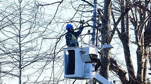 ESB profits down by 10% due to impact of Storm Éowyn | Offaly Independent
