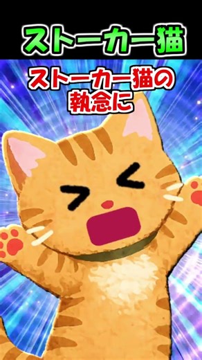 【2ch】猫のストーカーに我が家が狙われた！【アニマル】 #Shorts