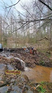 3.7K views · 63 reactions | Largest Beaver Dam Ever! Over 6ft Tall! || Beaver Dam Removal! #beaverdamremoval #beaverdam #beaverdamcreek #damremoval #beavers #dam #drain #draining #water #nature #unclogging #creek #terrellspivey #fypシ゚ #foryoupageシ #fypシ゚ #viralvideo #viralpost #viralFBvideo #FBVIDEO #fbpost #fb | Terrell Spivey | Facebook