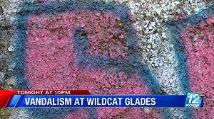 KODE Action 12 News | KODE 12 | Facebook