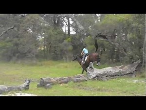 Cross Country fails, bucks and more!