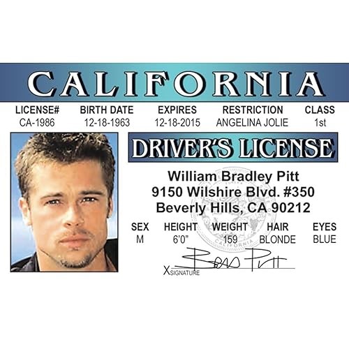 Signs 4 Fun Parody ID | B Pitt Driver’s License | Fake ID Novelty Card | Collectible Trading&