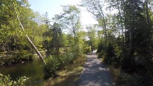 Shubie Park: Dartmouth’s Iconic Canal & Forest Escape 🌲🛶