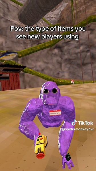 Pov: the type of items you see new players using