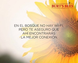 60K views · 930 reactions | Admira el paisaje, disfruta cada pequeño detalle y agradece el poder hacer parte de la majestuosa naturaleza. Tal como nos enseñó Burt. | Burt's Bees | Facebook