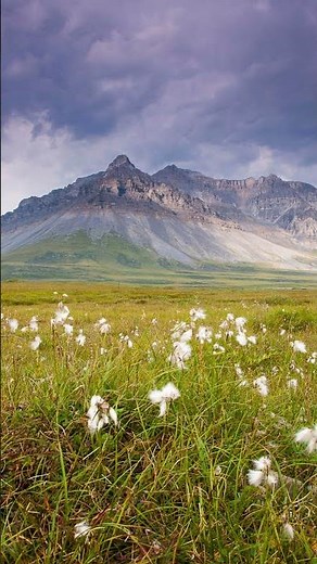 The Brooks Range: Alaska’s Arctic Mountain World