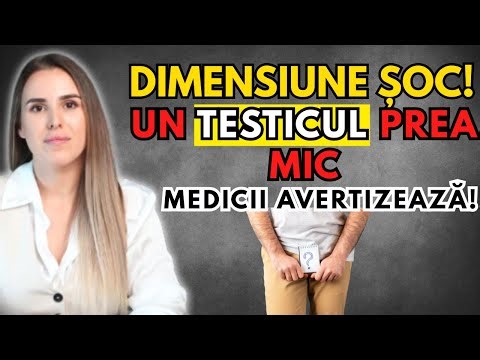 Dimensiunea testiculelor contează? Ce spun medicii despre mărime și fertilitate