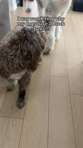 Crying凉 | Carson Roney | Facebook