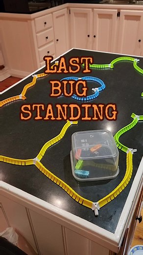 Replying to @sissinou48 Who can avoid the danger? #hexbug #elimination #toys #fyp