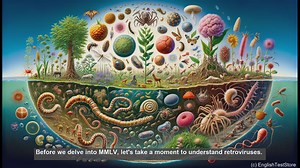 Moloney murine leukaemia virus in biology