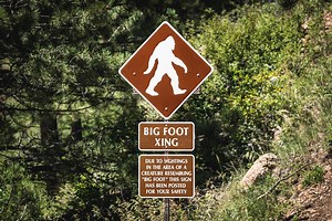 This State Has More Bigfoot Sightings Than Almost Anywhere Else in the U.S.