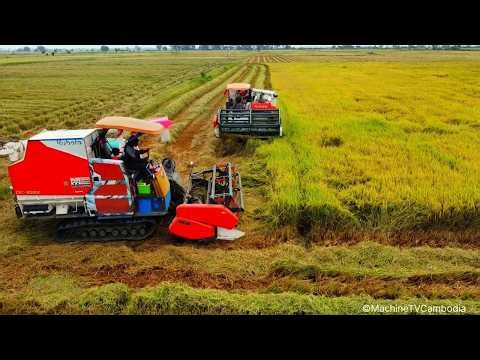 Kubota DC108X Combine Harvester Operating Skills | Rice Paddy Field Harvesting
