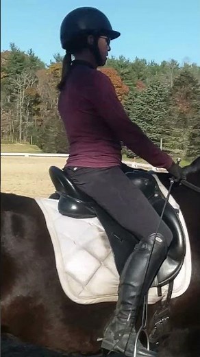 Slow Motion Canter - Study of the horse's and rider's movement #Lusitano #Trilogy, #Ghoda, #Cavalo