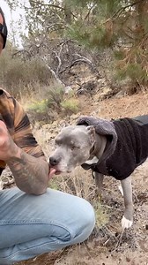 Seizures, A tough topic for any pet owner who’s experienced them—they’re absolutely terrifying, and it’s easy to feel helpless in the moment. My goal is to help anyone experiencing this feel less helpless and more prepared. For over a decade, I’ve been working with owners and pets to manage and reduce seizures. Shortening the length and severity of the episodes while keeping pets off harmful medications for as long as possible. Many prescribed medications can turn pets into ticking time bombs, t