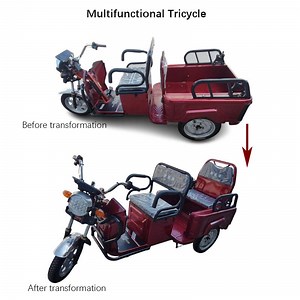 [Hot Item] Multi Functional Rickshaw Cargo Bike Ebike 3 Wheel Cargo Bike Folding Electric Tricycles for Adults