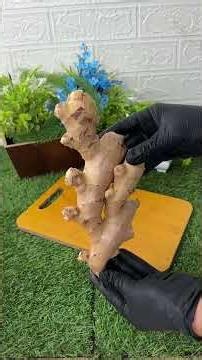 Mistura beterraba com limão e veja o que acontece com o teu corpo