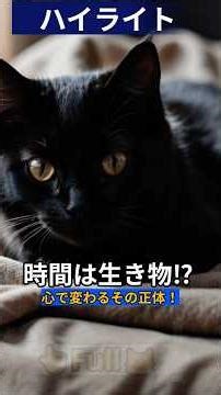 【ハイライト】時間と空間の猫的解釈 #shorts #sleepy #cat