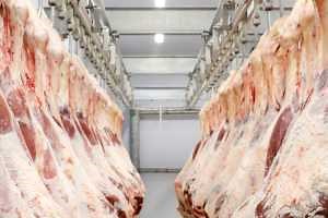 Meat Marketing & Processing