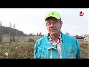 Achat de terres agricoles par des fonds d'investissement
