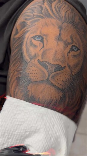 Creative Lion Tattoo Ideas for Your Next Ink