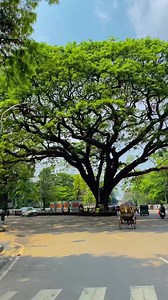 Millions of students dream❣️ | DU Dreamers