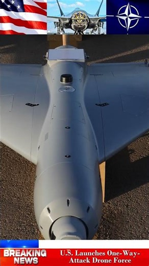 Drone Apocalypse! 🚀 The US Officially Launches a Disposable Drone Force!