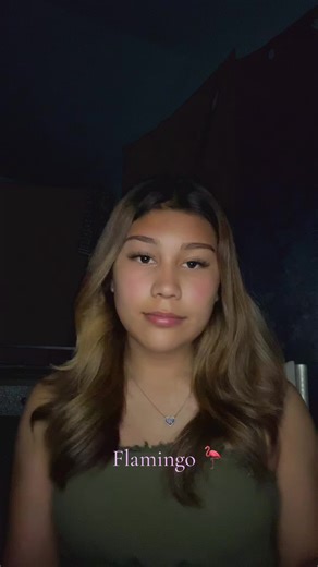 Exploring Colorful Flamingos: A Visual Delight