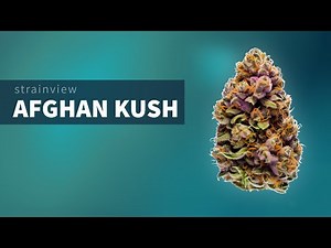 Afghan Kush - StrainView