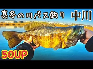 Smallmouth bass fishing in the river [Nakagawa]