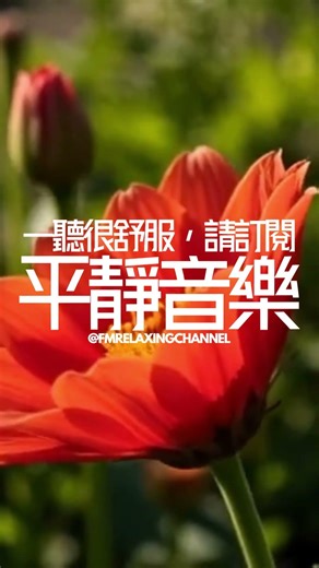 【PEACEFUL PIANO BGM】如果您需要平靜和放鬆的音樂，請訂閱我的頻道！這裡有精選的柔和旋律，專為舒緩身心和減少焦慮而創作。讓我們一起踏上這段減壓旅程，享受平靜與安寧 #放鬆音樂