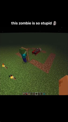 Minecraft stupid moment #shorts