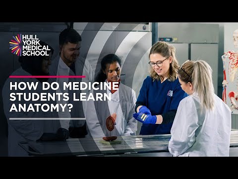 How do Medicine students learn anatomy?