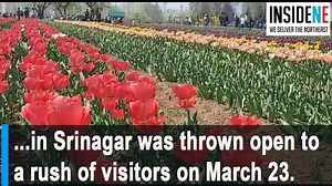 Asia's largest Tulip garden opens for visitors | Inside Northeast